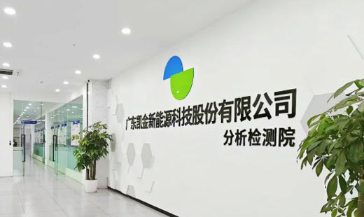 开云kaiyun官方版在线入口分析检测院荣获CNAS实验室认可